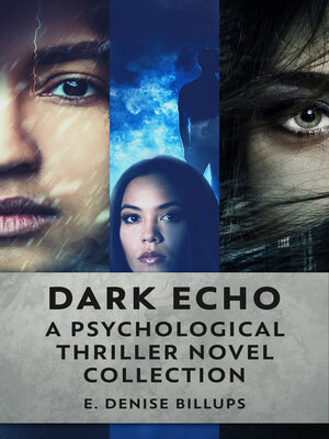 cover image of Dark Echo